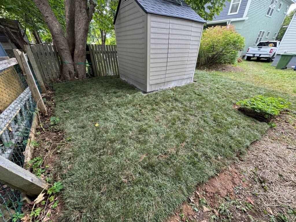 sod installation Halifax